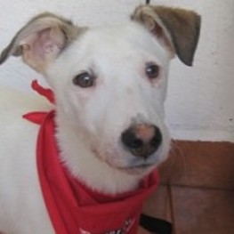 D ee3f006c f440 4fe2 8810 672c4abfdcaf