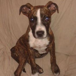 D f06e14cd 3a30 436d a93d e028b4c33d96