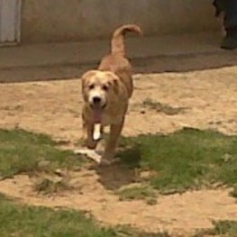 D 08f607e3 d5a9 43ea 8316 4a5636023598