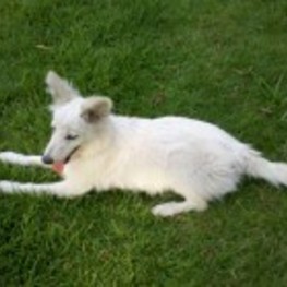 D f6fc45b5 b1b5 44dd 8fd0 820c7f6fa9e4