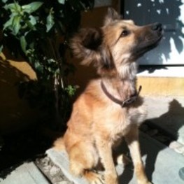 D 413406fe 90b2 4553 b3fb 14390dbd5616