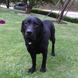 D 0473884e b43b 4345 9ad1 e0825ac1e25e