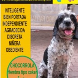 D 3bfb90f5 4c43 4ae3 8d41 b3dc89b52d2a