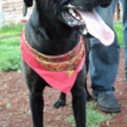 D f8c622f2 300a 47c7 8af0 09adf110777b