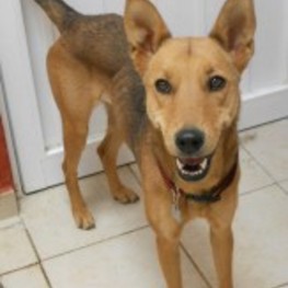 D b84f6509 dade 4d8a b943 55f696999d9b