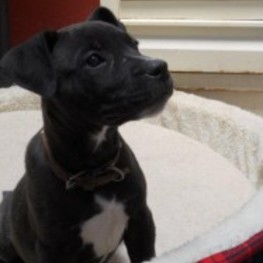 D 487dbb97 bb19 48d4 85a9 8936066b2670