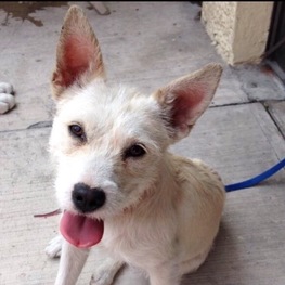 D 30ea584b b1f4 4f8a a22b ec3957b8341a