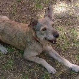 D 6cdf4ca0 2afe 4e68 932b d86e71027532