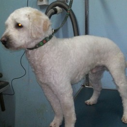 D 00ffbed9 9aac 4262 958d 3013c541abde