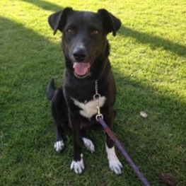 D 70a0d702 b80b 44f0 9f91 1e32adeb56c5