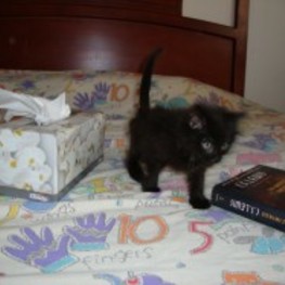 D bdf89f76 036d 439a bf30 5a9f7cb17df7