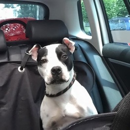 D 5fed5ae0 6f75 4e31 9dbc 0a09326b7029