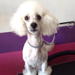 D b20b64a7 3755 4b83 800d 29ddc0469e5a