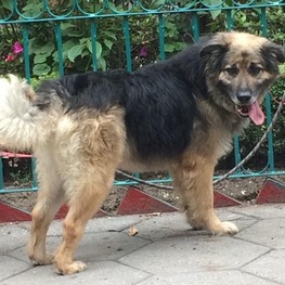 D b4198e75 6cb5 4b3f bc2d a7e4c39d410d