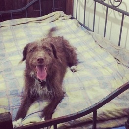 D dda01b11 381f 4ff3 956f 59e3936a95e6