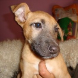 D 47f481a7 5bdb 4d4d 850b f4a58779ec6a