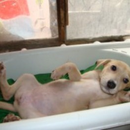 D fe6150d1 6394 46b0 8175 6160515a0599