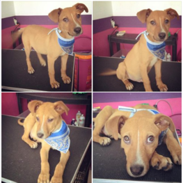 D 74468fa5 4936 4f20 8d31 d817194015da