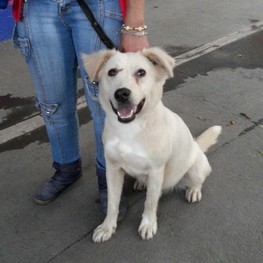 D e4dffb9f 9614 4303 b216 19ed6c6018ca