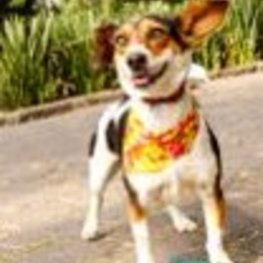 D a259b9a7 f60d 40e1 8b29 d85d998c427f