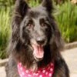 D 6f10670c 3650 4e34 a3df 61e32372f729