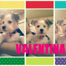 D 0e2be6b7 2af0 4d5b 9a88 b7110269a0bd