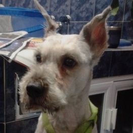 D 67393653 77f0 4afa 9509 6dee204e589a