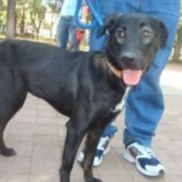 D 9472ca7b 0a6c 4e64 9655 4279f2aa4d89