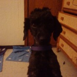 D 9b14316c f4e8 4fc2 a76b ec0c136c4d64