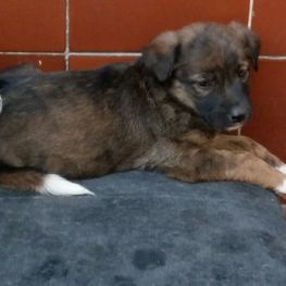 D de290ec8 6ee9 48a5 a81e 59a2862c6f9f