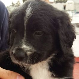 D dc90a378 24e6 4f4b a2f4 a511c81fb625