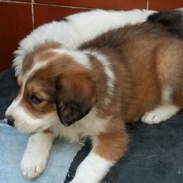 D 8b186f22 a36f 4a59 984d 7973052b834f