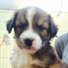 D 9ce1332c 7b67 4d5b 9690 6b123a692a7b