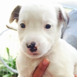 D 7982df00 036c 4dfb 92f9 b34ff8ed5f7c