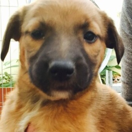 D b7a2a0d2 0f4b 491a af8d 780c111c3d0f