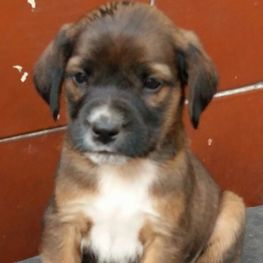 D 7f4ba34c d134 4480 b795 24f2181ffb28