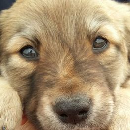 D db5264fa 7999 4e1f b591 4c3da0bc114f