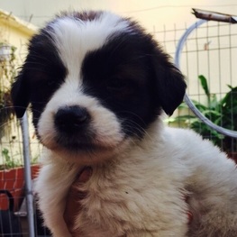 D 0818b9be 8319 4068 929e 4a8de3d59962