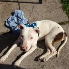 D d6479af8 1261 4c21 b4b7 01f69cd6a3f9