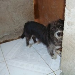 D 3d3f9b29 c1d4 4656 979b dc0460e34fed