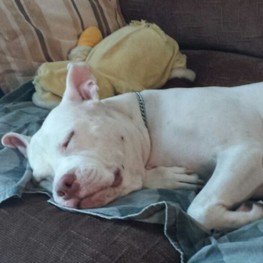 D 4699249d 2527 4128 9559 f7f494d43cf4