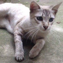 D 60cdbcea 7332 4bd6 b1f3 f397aa57ccd9