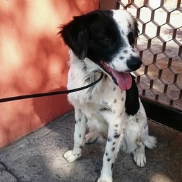 D 2b4c935b 7457 4368 88ef 8f8a070d0d49