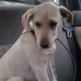 D d32caa97 e954 4b71 970c 5d8881f7dc16