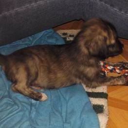 D 0c910ad2 f583 44e1 bac8 a890ccaa026d