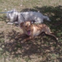 D d7fdc28f c487 4585 acd1 e554018ae141