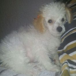 D 68def160 3816 41b4 962a 759e3bd9d9f0