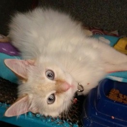 D 256bfeda 44d2 40fa a16c 9fb5f31d56b6