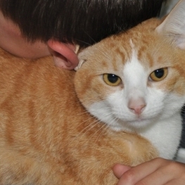 D 5de67192 cc8a 440a 98ab aa67ede01596