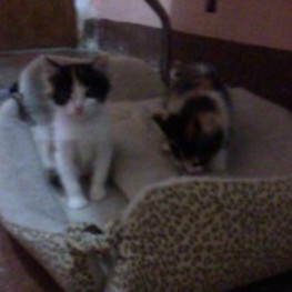 D 09819441 0896 4bd1 a7f9 c70d31d1b44a